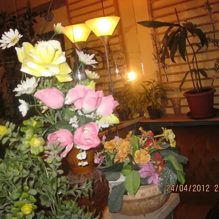 Hotel Le Petit 2*